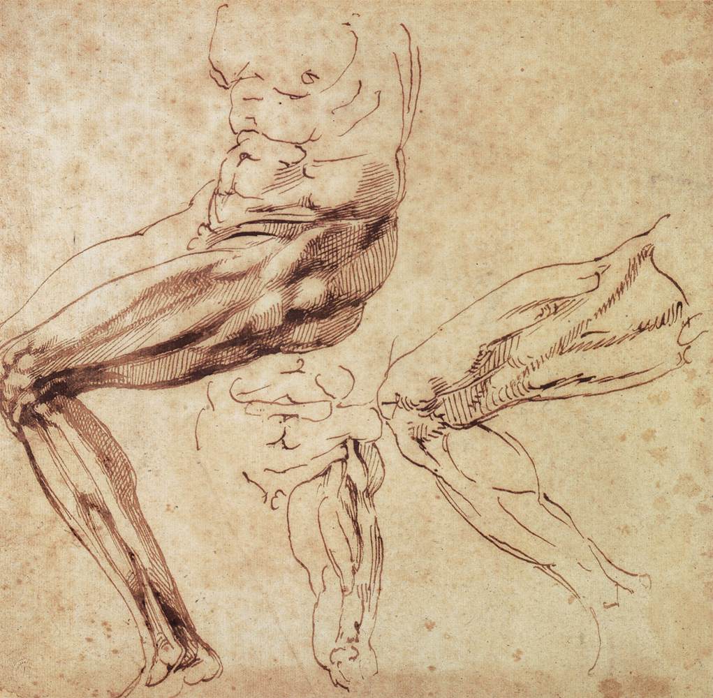 Michelangelo-Buonarroti (101).jpg
